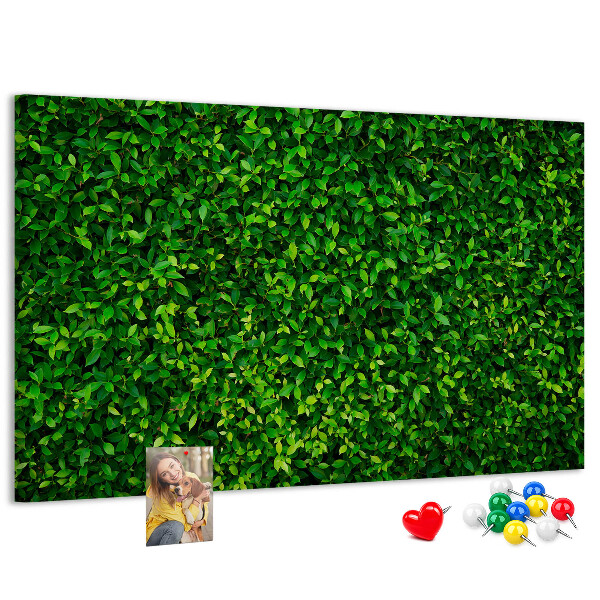 Cork memo board Hedge leaves