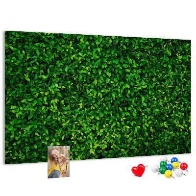 Cork memo board Hedge leaves