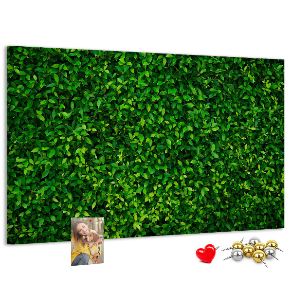 Cork memo board Hedge leaves