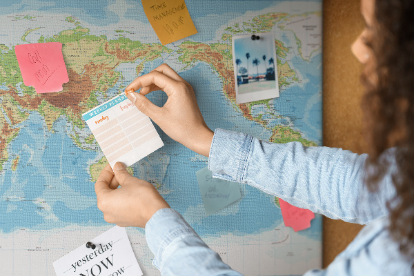 Cork memo board Physical world map