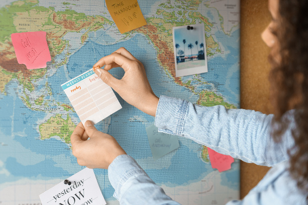 Cork memo board Physical world map