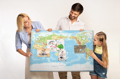 Cork memo board Physical world map