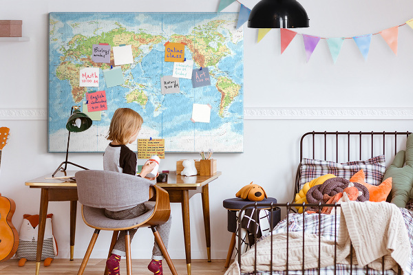 Cork memo board Physical world map