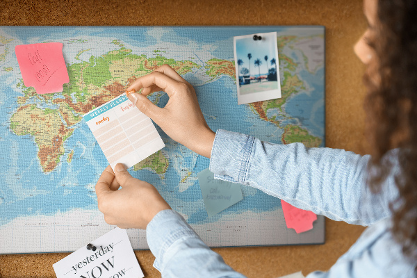 Cork memo board Physical world map
