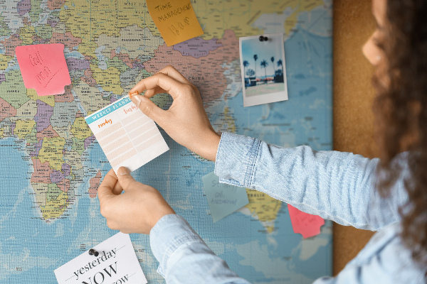 Cork memo board Political world map