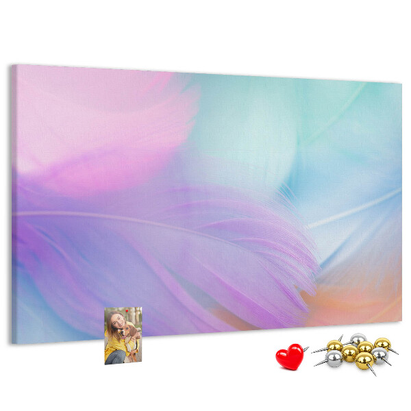 Cork memo board Colorful feathers