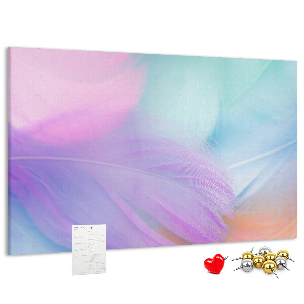 Cork memo board Colorful feathers