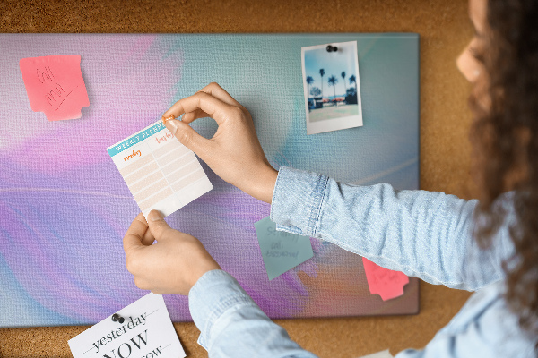 Cork memo board Colorful feathers
