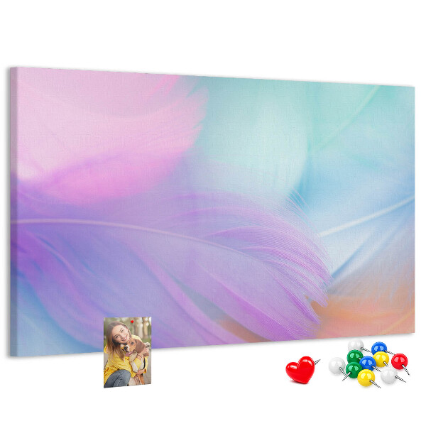 Cork memo board Colorful feathers