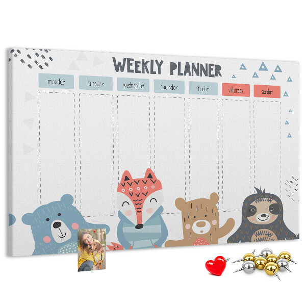 Cork memo board Weekly schedule
