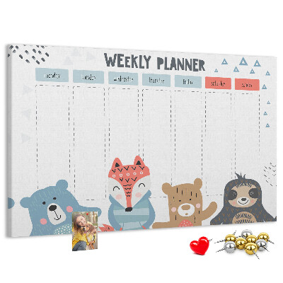 Cork memo board Weekly schedule