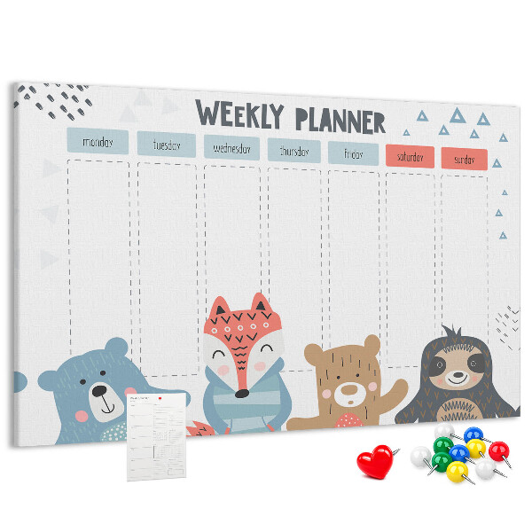 Cork memo board Weekly schedule