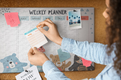 Cork memo board Weekly schedule