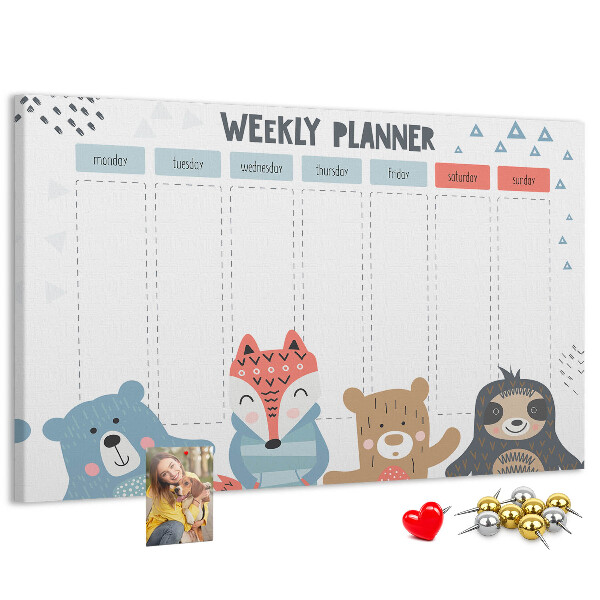 Cork memo board Weekly schedule