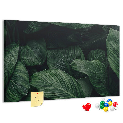 Cork memo board Tropical monstera