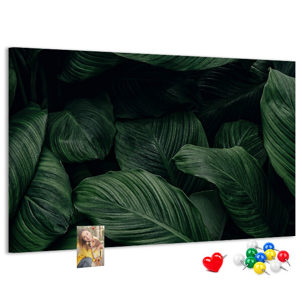 Cork memo board Tropical monstera