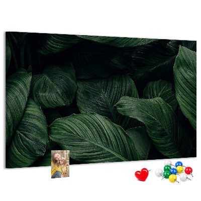Cork memo board Tropical monstera