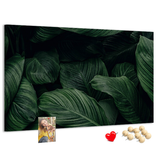 Cork memo board Tropical monstera
