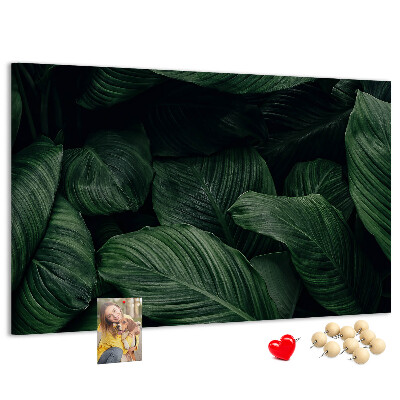 Cork memo board Tropical monstera