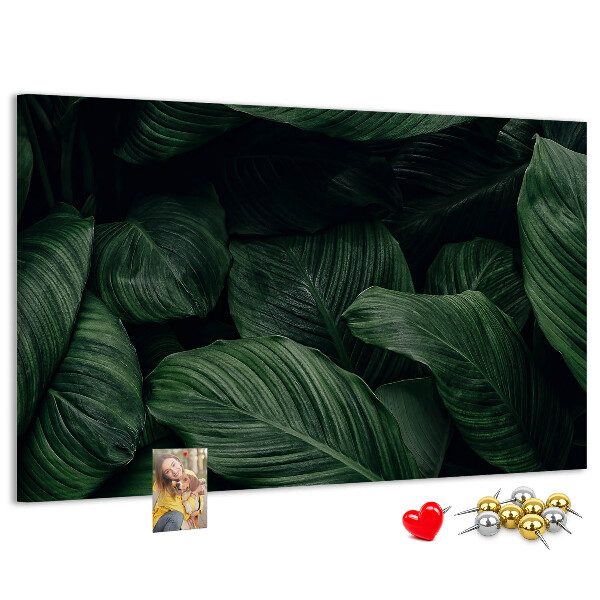 Cork memo board Tropical monstera