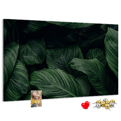 Cork memo board Tropical monstera