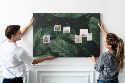 Cork memo board Tropical monstera