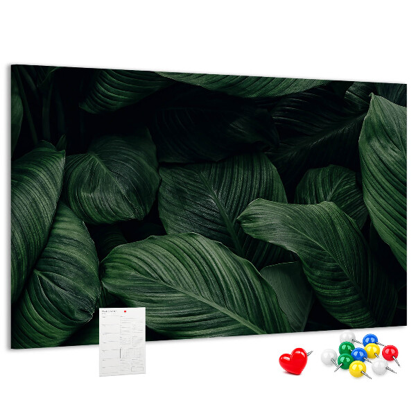 Cork memo board Tropical monstera