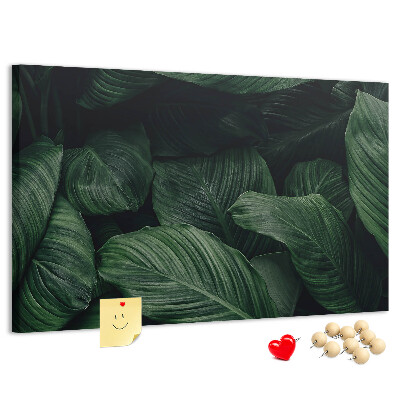 Cork memo board Tropical monstera