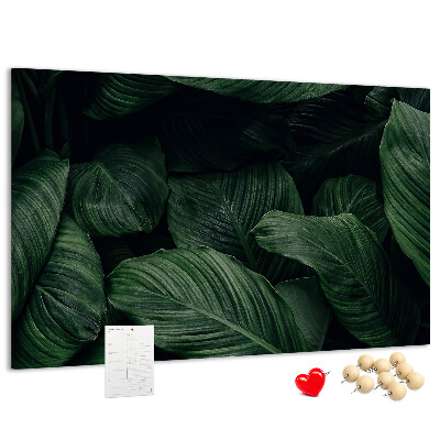 Cork memo board Tropical monstera