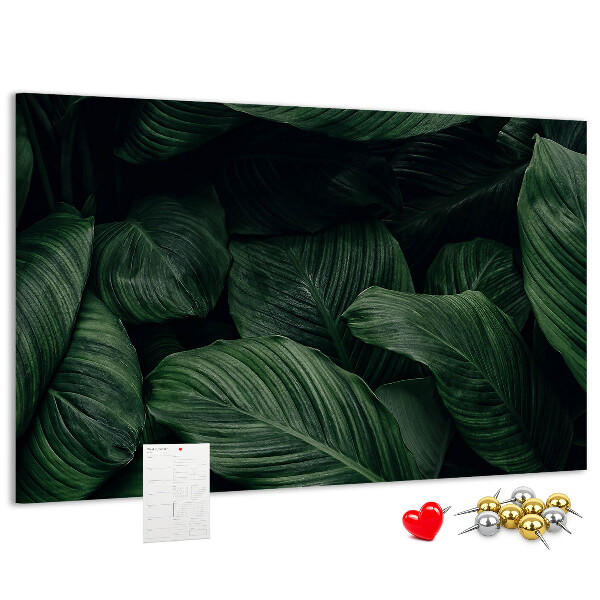 Cork memo board Tropical monstera