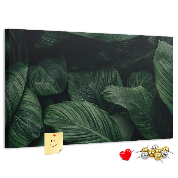 Cork memo board Tropical monstera