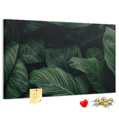 Cork memo board Tropical monstera