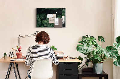 Cork memo board Tropical monstera