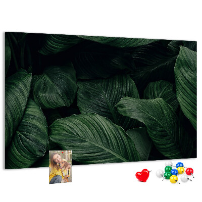 Cork memo board Tropical monstera