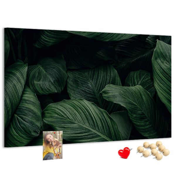 Cork memo board Tropical monstera