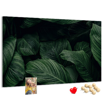 Cork memo board Tropical monstera