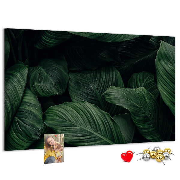 Cork memo board Tropical monstera