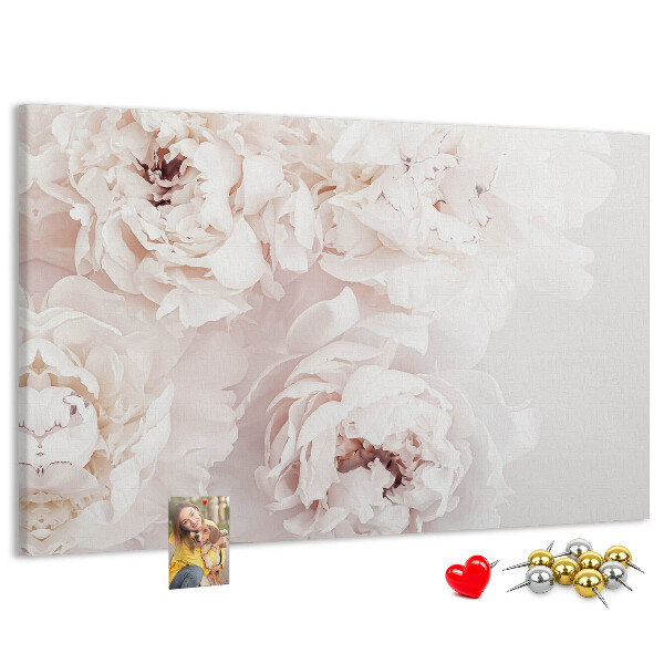 Cork display board Peony flowers