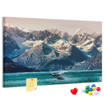 Cork memo board Whale water
