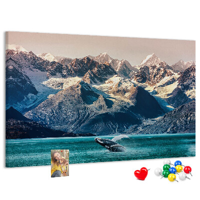 Cork memo board Whale water