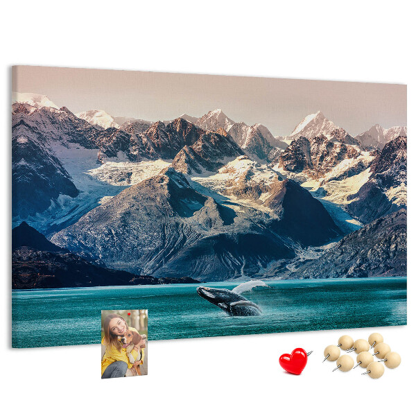 Cork memo board Whale water
