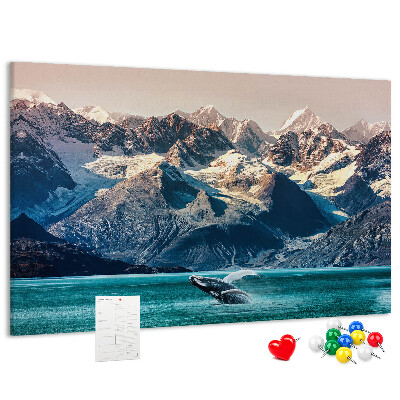 Cork memo board Whale water