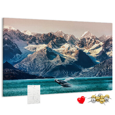 Cork memo board Whale water