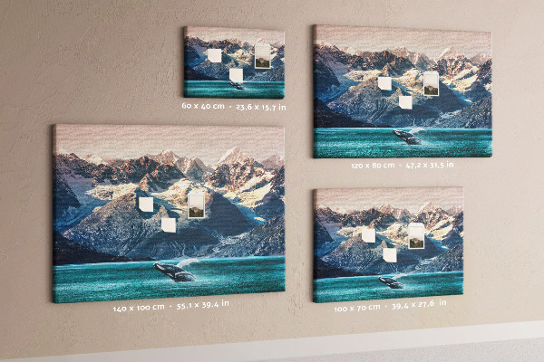 Cork memo board Whale water