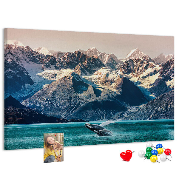 Cork memo board Whale water