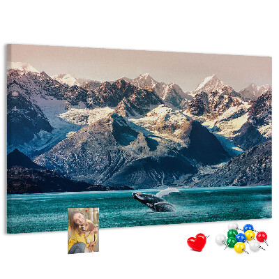 Cork memo board Whale water