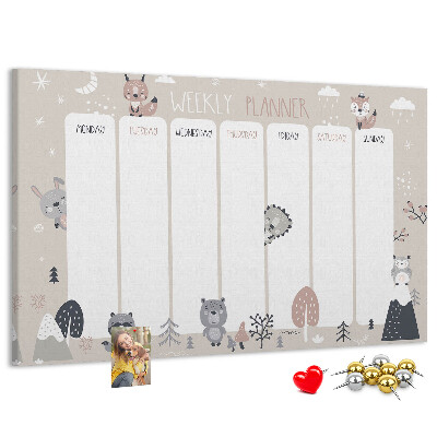 Cork display board Animal planner