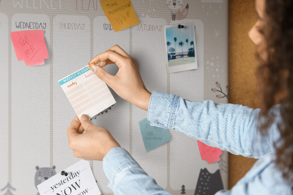 Cork display board Animal planner
