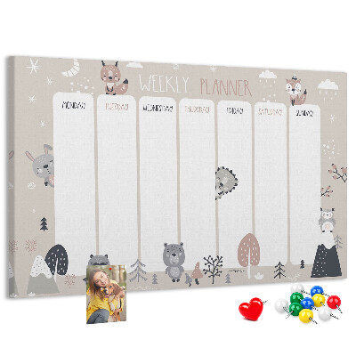 Cork display board Animal planner