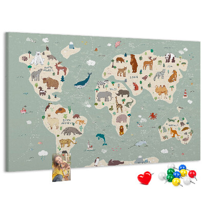 Cork board Animal world map
